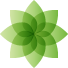 KnuckleHeadUniversity.com